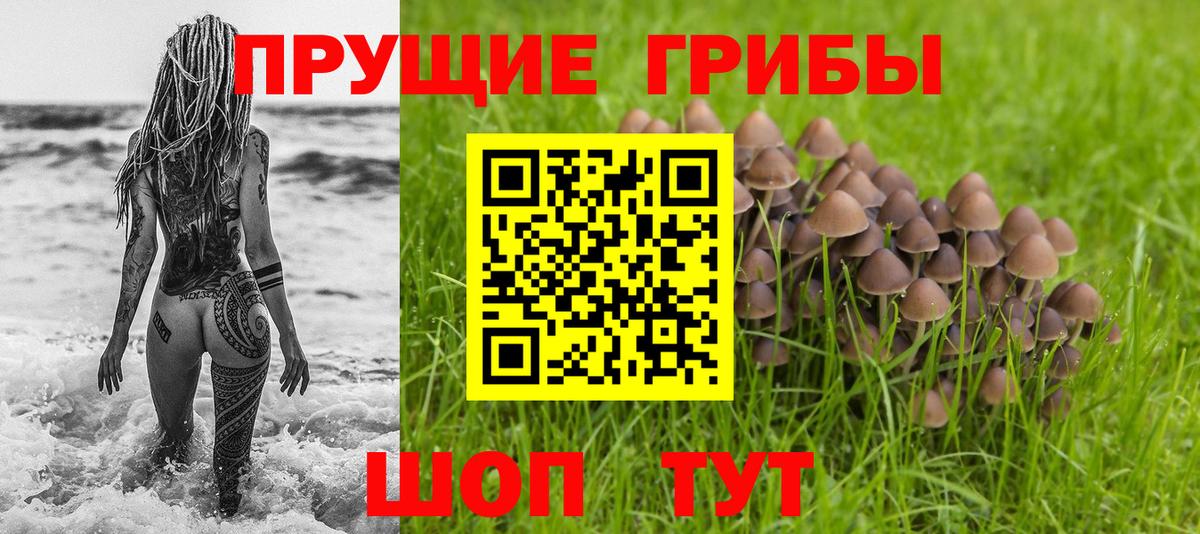 Галлюциногенные грибы Cubensis  Галлюциногенные грибы GOLDEN TEACHER  Горячий Ключ  Вход с VPN 