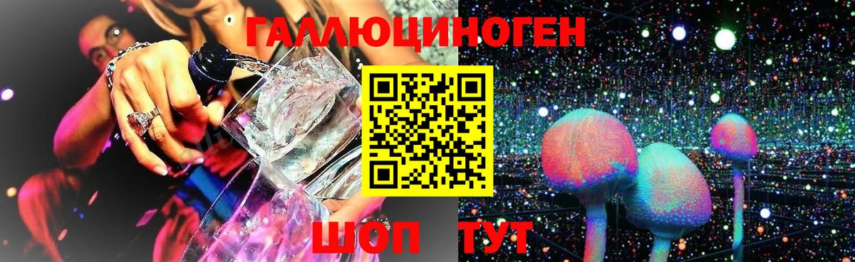 Псилоцибиновые грибы Cubensis Горячий Ключ